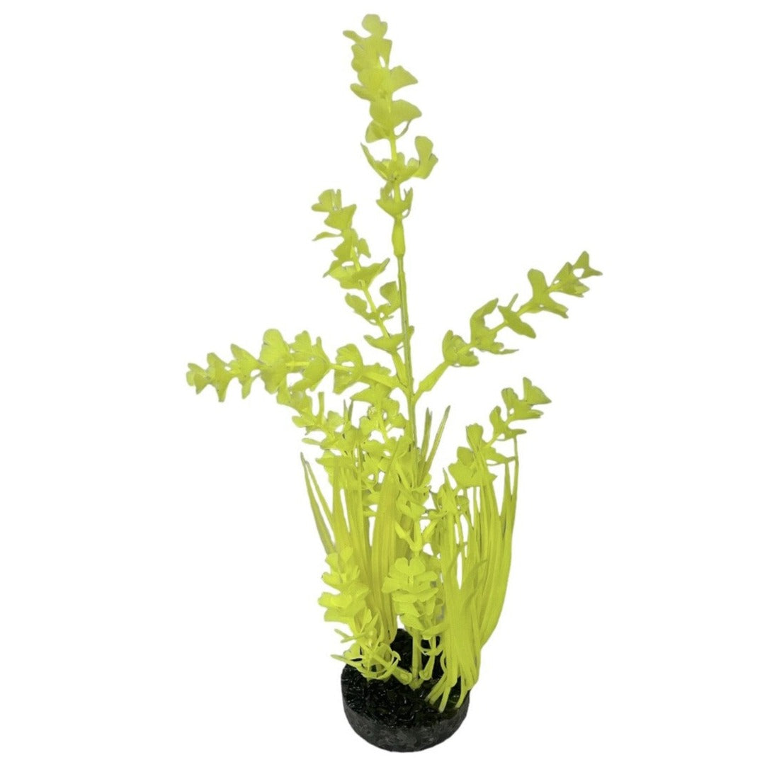 Aqua Culture Water Bouquet Aquarium Plant, Approximately 11 inches Tall