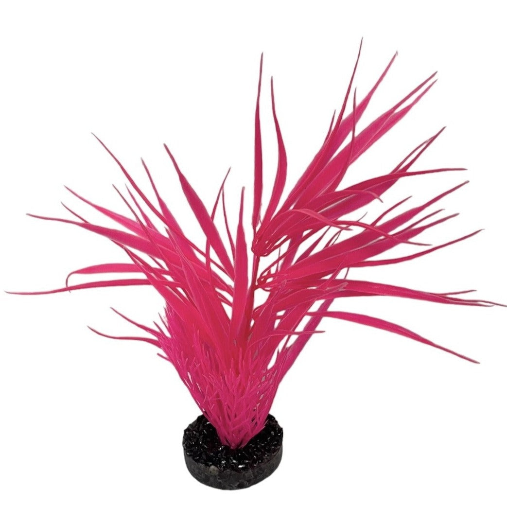 Aqua Culture Water Bouquet Aquarium Plant, Approximately 11 inches Tall