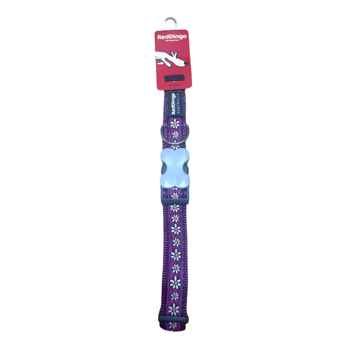 Red Dingo Daisy Chain Dog Collar, Large, Adjustable Neck Size, Purple