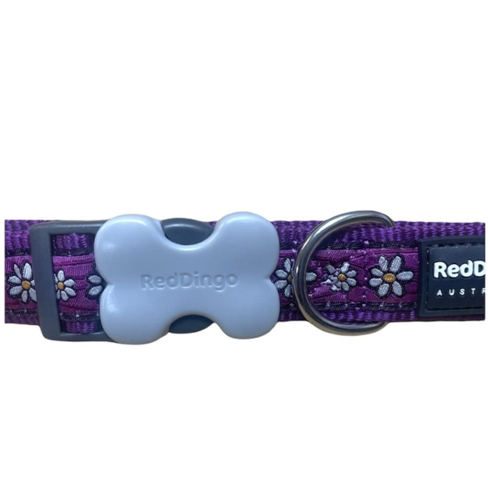 Red Dingo Daisy Chain Dog Collar, Large, Adjustable Neck Size, Purple